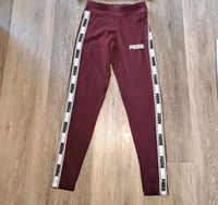 Mädchen Puma Leggins Größe 140 NEUWERTIG bordeaux rot Nordrhein-Westfalen - Hürth Vorschau