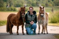 Spazieren gehen mit Ponys :) Baden-Württemberg - Schwaigern Vorschau