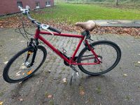 Fahrrad  28 Zoll Nordrhein-Westfalen - Nottuln Vorschau