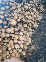 Fichte Stammholz oder Ofenfertig Nordrhein-Westfalen - Telgte Vorschau