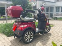 Elektromobil E-Trike Nordrhein-Westfalen - Bünde Vorschau