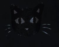 Damen Pullover 44 Katze Glitzer schwarz guter Zustand Rheinland-Pfalz - Ramstein-Miesenbach Vorschau