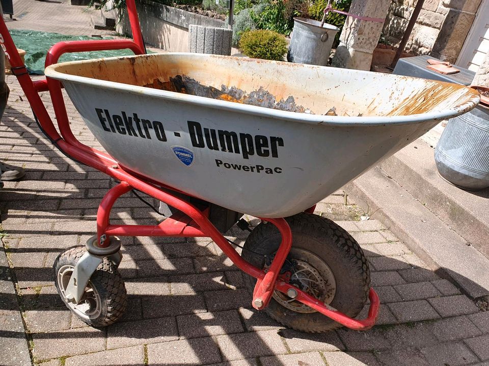 Akku-Schubkarre, Elektro-Dumper ED120 von Power-Pac in Gernsbach