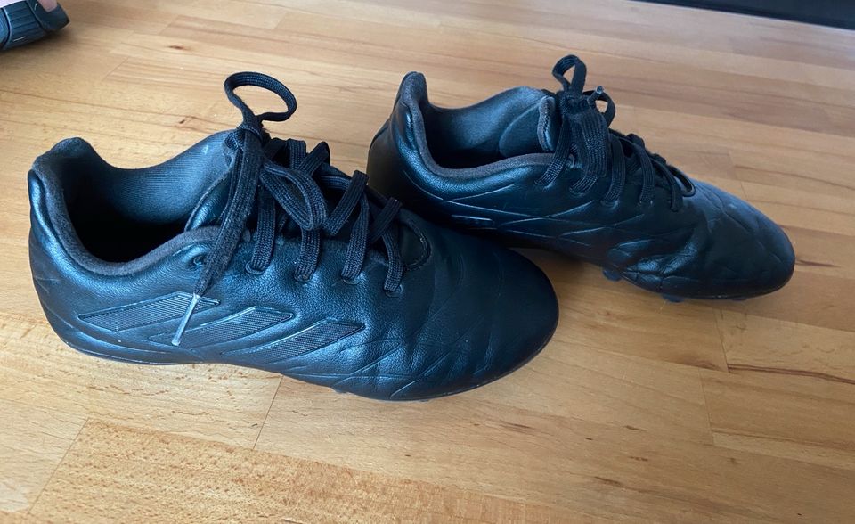 Fußballschuhe Adidas Copa pure Größe 31,5 in Sittensen