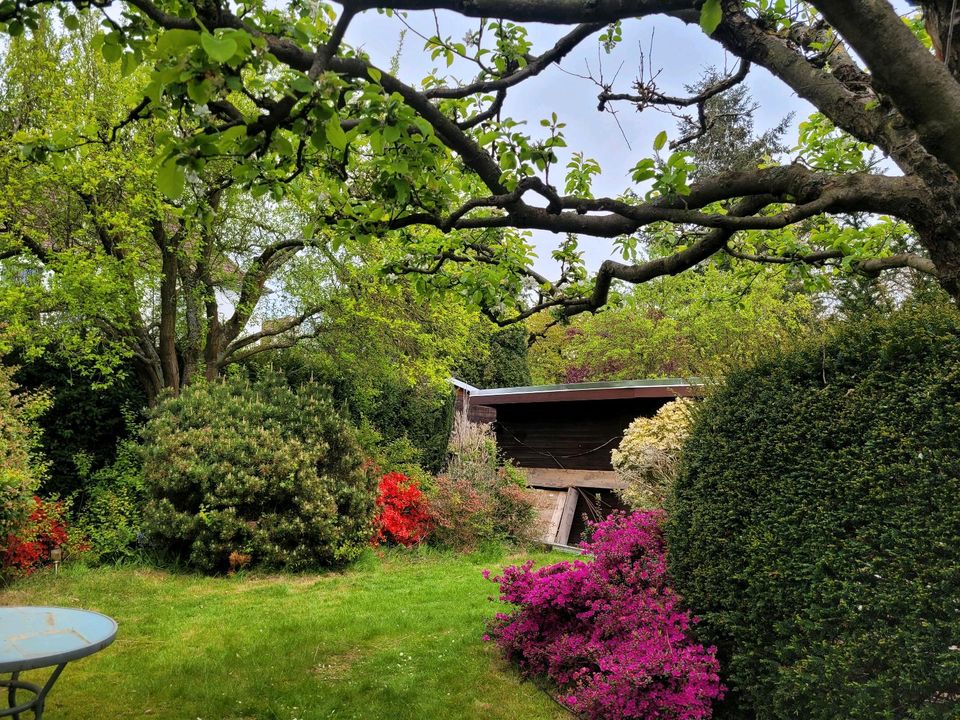 Schrebergarten in Hannover