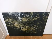 Fotografie auf Aluminium gedruckt (60x80cm, Wald) als Bild Berlin - Lichtenberg Vorschau