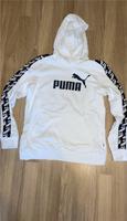 Puma Hoodie Niedersachsen - Goldenstedt Vorschau
