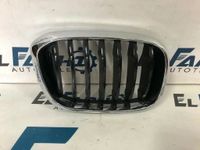 BMW X3 X4 F25 F26 Niere Gitter Grill 7440854-08 Essen - Altenessen Vorschau