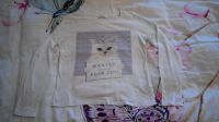 Pulli, H&M, Gr.158/164, Sweatshirt, Langarmshirt, Katze Hessen - Dieburg Vorschau