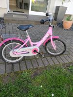 Kinder-Fahrrad 16 Zoll Bonn - Plittersdorf Vorschau