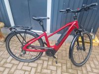 2 Carver rout 420 e bike Rheinland-Pfalz - Fachbach Vorschau