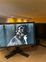 2 x EIZO CG241W 24 Zoll Grafikmonitor Nordrhein-Westfalen - Gelsenkirchen Vorschau