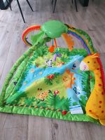 Spieldecke / Krabbeldecke  Fisher - Price Nordrhein-Westfalen - Lengerich Vorschau