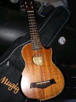 Alte Ukulele Sachsen-Anhalt - Altenweddingen Vorschau