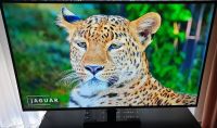 Samsung 55 Zoll Fernseher Smart TV,4K Ultra HD,HDR10+✳️Neuwertig✅ Hessen - Weilmünster Vorschau