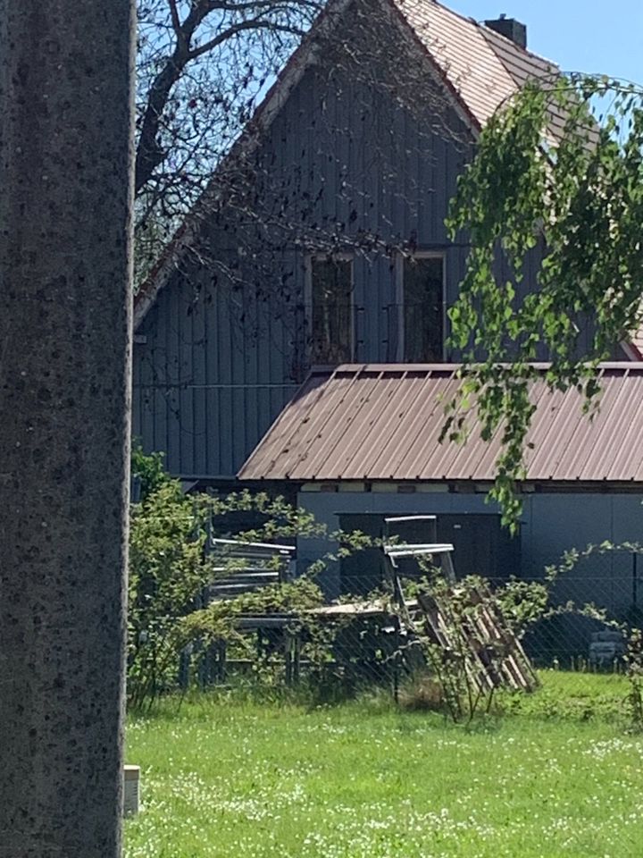 Kleines Haus, Doppelhaushälfte Gemeinde Sallgast zu vermieten in Annahütte