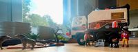 Playmobil Adventure Truck 4839 Rheinland-Pfalz - Saffig Vorschau