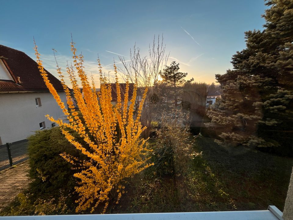 Helle 5 Zi. OG Wohnung mit Balkon in Nüdlingen