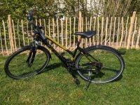 Damen Fahrrad Felt QX, 24 Gänge, 28Zoll Hessen - Burghaun Vorschau