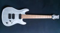 Framus Masterbuilt Diablo Custom Shop 7string Bayern - Hof (Saale) Vorschau