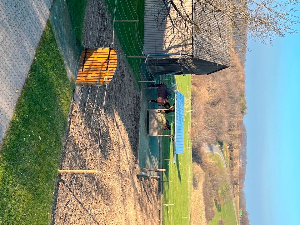 Offenstall / Einstellplatz Pferd in Kommen