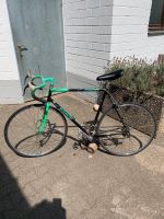 Bianchi Caurus 837  28 Zoll Baden-Württemberg - Bad Säckingen Vorschau