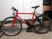 Electrolyte Brandstifter E-Bike Leipzig - Altlindenau Vorschau