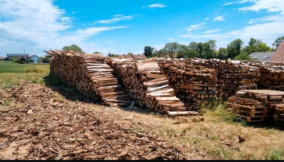 Brennholz Buche Eiche Esche in Markgröningen