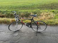 Fahrrad / Fitnessbike / Trekking, sehr gepflegt Dortmund - Wickede Vorschau
