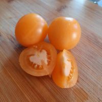 Dwarf Sunny´s Pear, 10 Tomatensamen, fruchtig, aromatisch Leipzig - Leipzig, Zentrum Vorschau