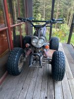 Quad Spaßmobil Nordrhein-Westfalen - Velbert Vorschau