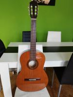 Gitarre von Höfner mit Tasche Nordrhein-Westfalen - Rheda-Wiedenbrück Vorschau