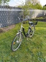 Damenfahrrad Nordrhein-Westfalen - Oberhausen Vorschau