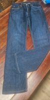 Levis Jeans Hose Herren W30 L32 wie Neu Bayern - Langquaid Vorschau