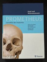 Prometheus - Kopf und Neuroanatomie Thüringen - Erfurt Vorschau