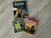 3 Katzenbücher Bayern - Schwarzenbruck Vorschau