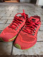 Nike Zoom Odyssey Laufschuhe – Gr. 42 – sehr guter Zustand Niedersachsen - Garbsen Vorschau