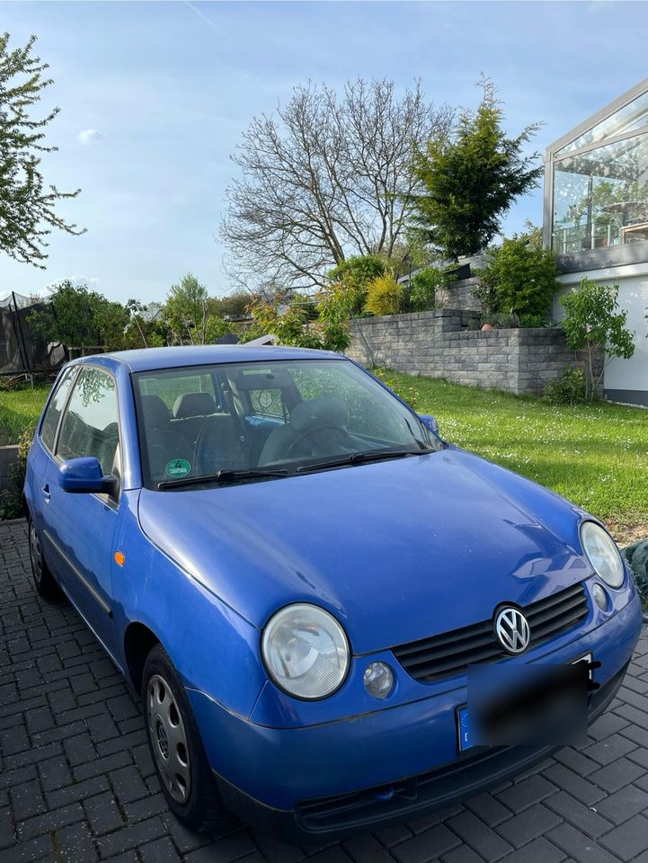 VW Lupo blau in Körle
