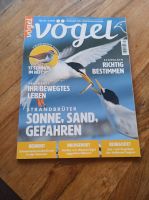 Vögel Magazin für Vogelbeobachtung Zeitschrift Hessen - Weimar (Lahn) Vorschau