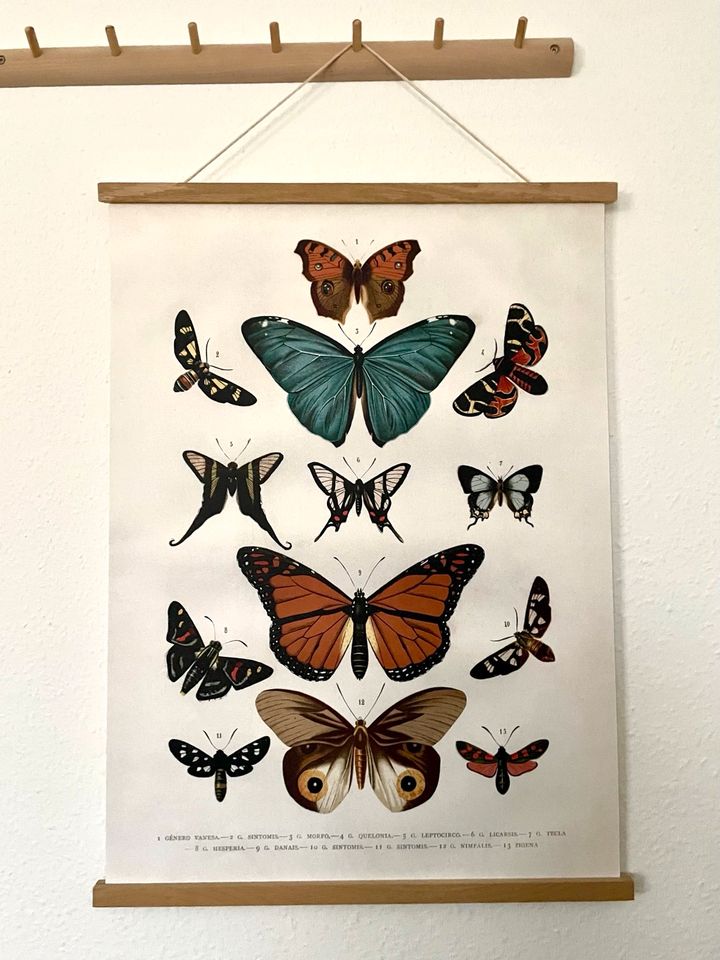 H&M Home Schmetterling Poster 50x70 cm inkl. Posterleiste in Berlin