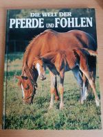 Die Welt der Pferde uns Ponys Niedersachsen - Oberndorf Vorschau