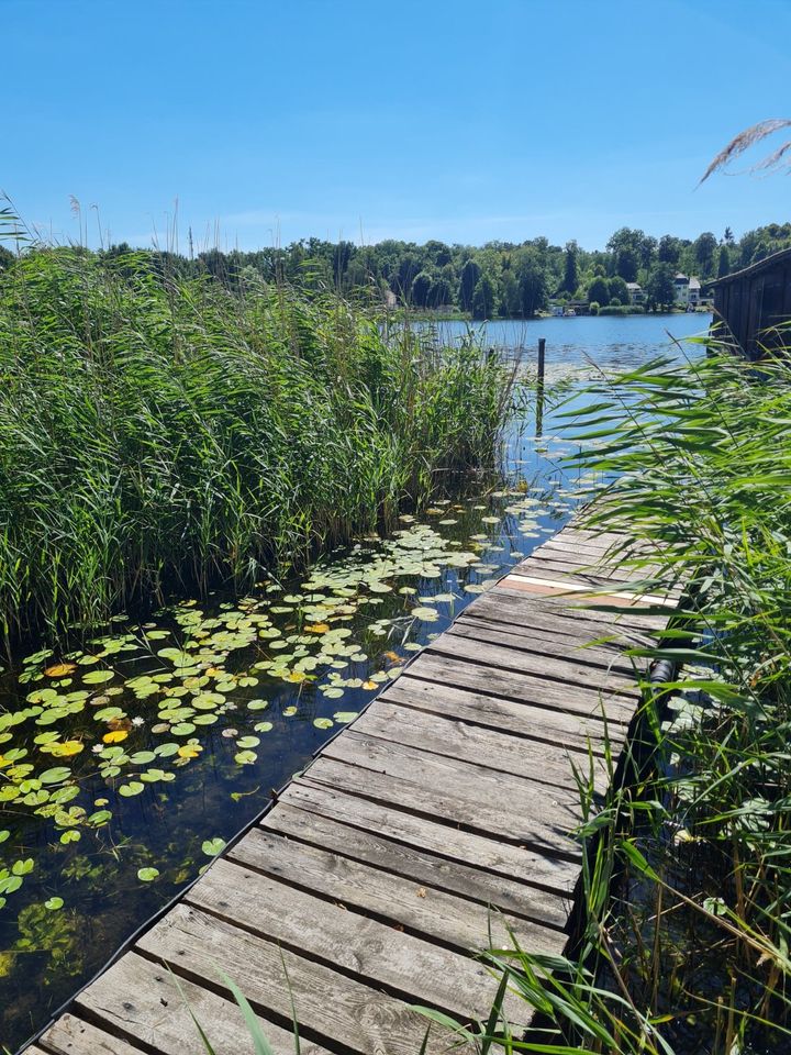 Wohnung im Ferienhaus am Tor der Mecklenburgischen Seenplatte in Fürstenberg/Havel