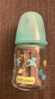 Babylove Fläschen Dinos, Flasche Glas mit Sauger, Babyflasche Berlin - Pankow Vorschau