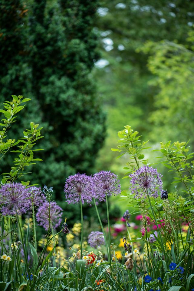 Gartenland, Wiesen, Ackerland und Wald zu verkaufen in Biebergemünd