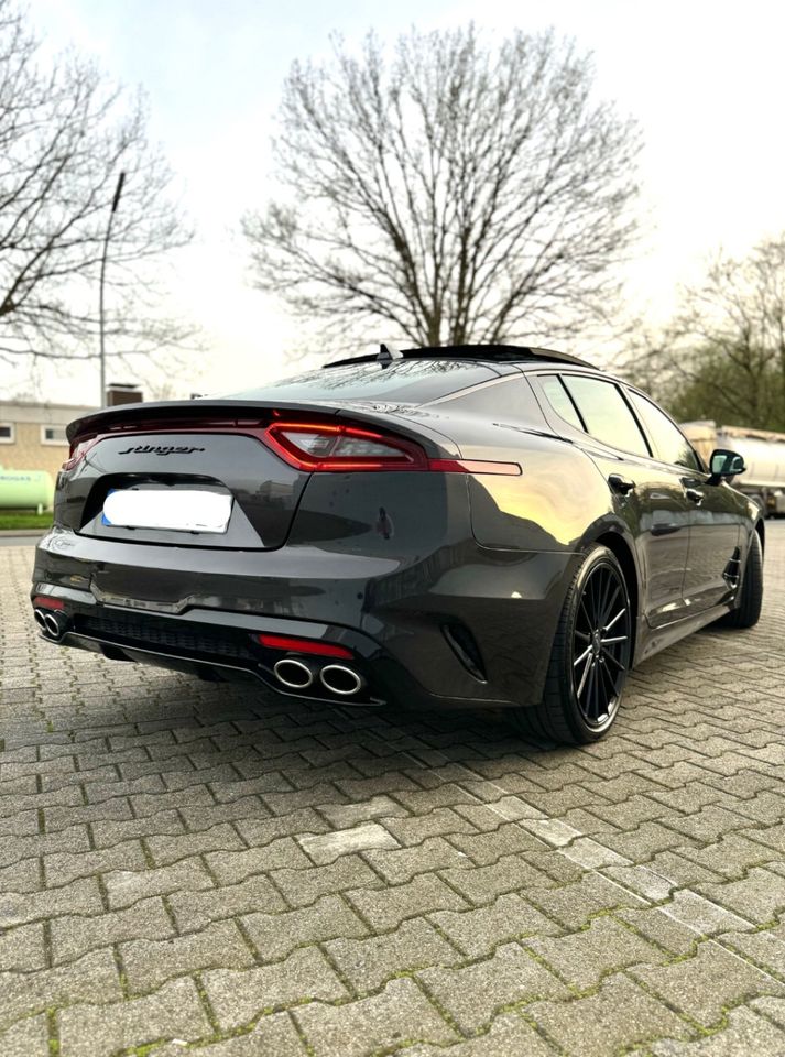 Kia Stinger GT 4WD*PANO*HK*KEY-GO*360°*H-UP*ACC* in Gladbeck