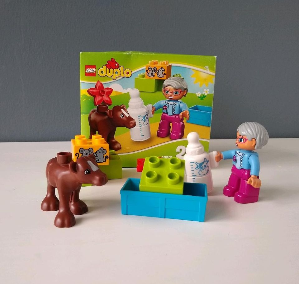 LEGO Duplo • Baby Kalb • 10521 in Beelen