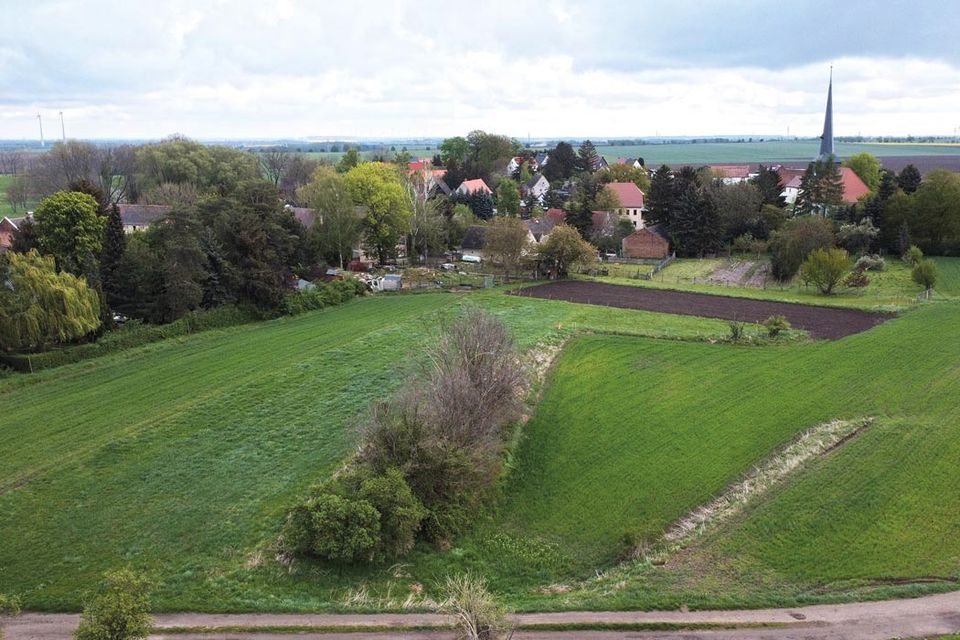 Zwei Landwirtschaftsflächen in Teuchern in Teuchern