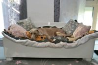 Orthopädische Hundebetten, Hundekissen direkt von Hersteller Nordrhein-Westfalen - Hennef (Sieg) Vorschau