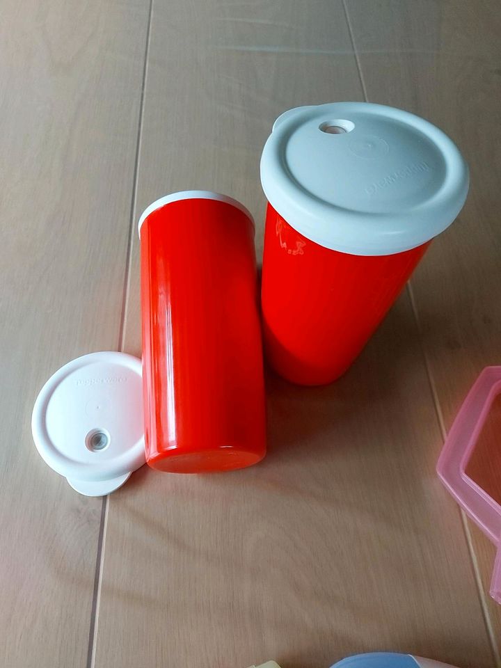 Buntes Tupperware Paket in Breuberg