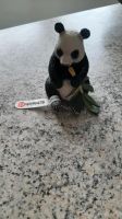 Schleich Panda mit Bambus Bayern - Bad Kötzting Vorschau